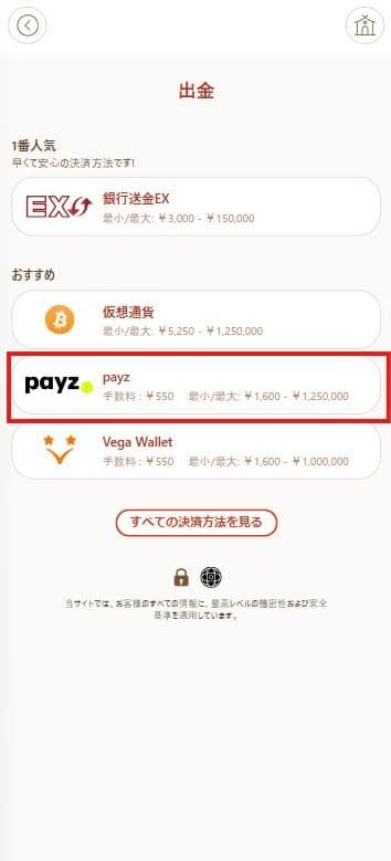 ペイズ（Payz）で現金化するまでの流れ